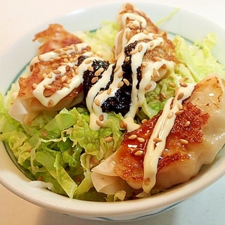 千切り白菜と焼き餃子と海苔の佃煮の丼